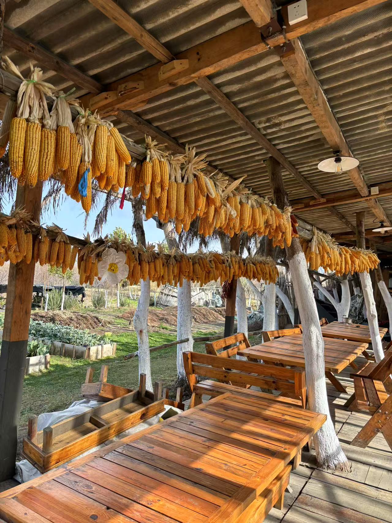 Visita la granja orgánica para recoger frutas | Cocina en casa con Honghong