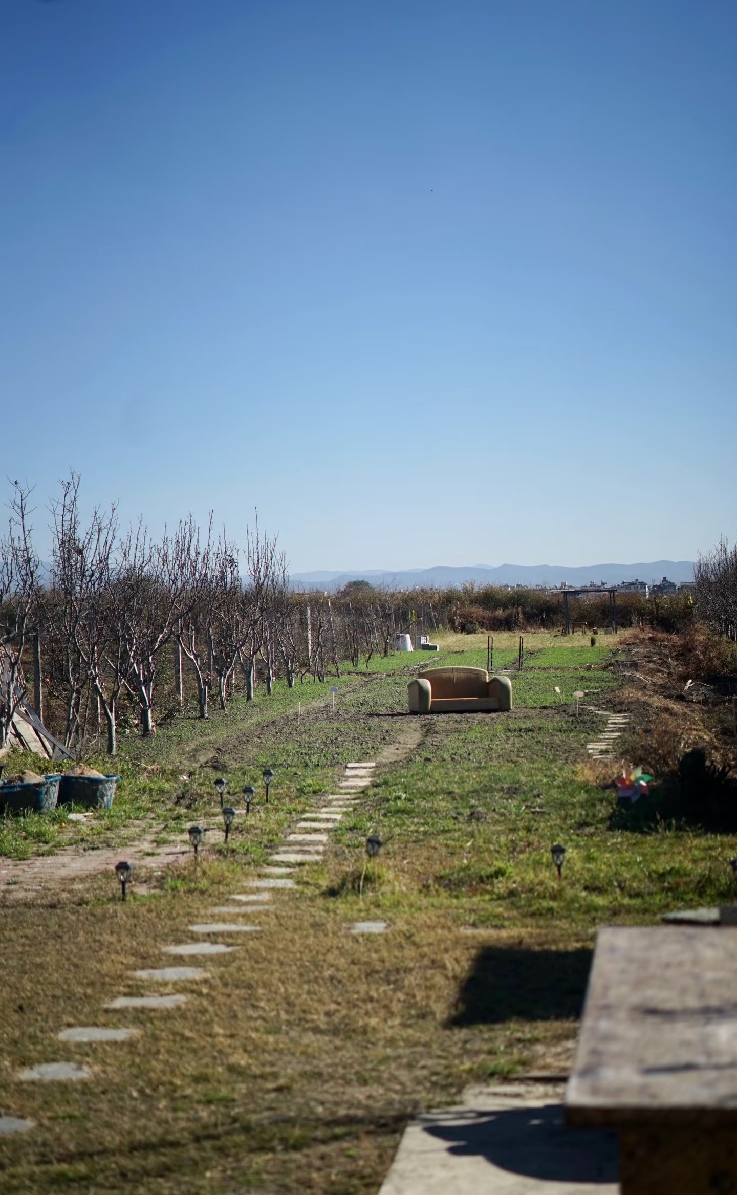 Deux acres de terrain