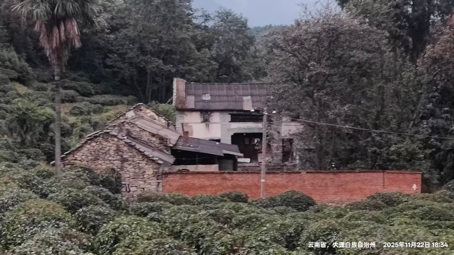 傍晚清碧溪茶园徒步 ｜下山向导红红家吃饭