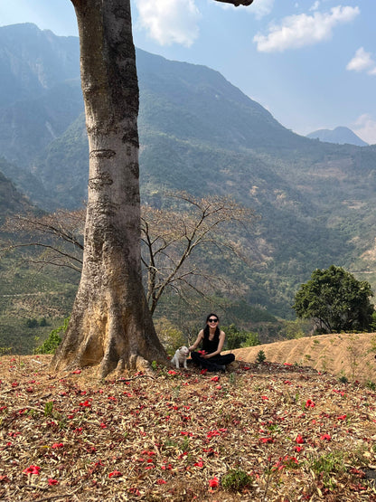 怒江2日旅行｜咖啡晒场 南部边境 温泉