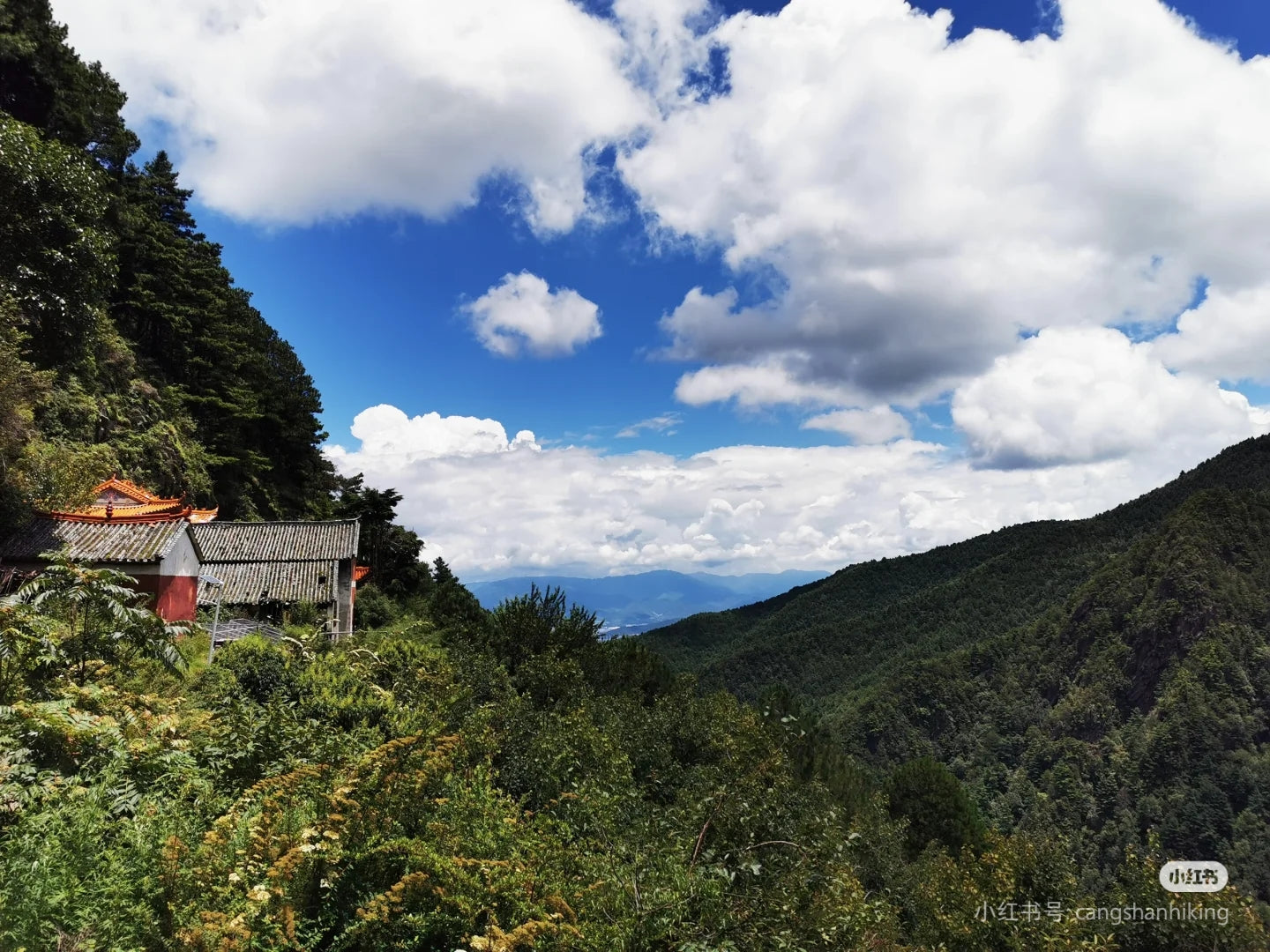 Hiking to Boluo temple and enjoy the vegan food