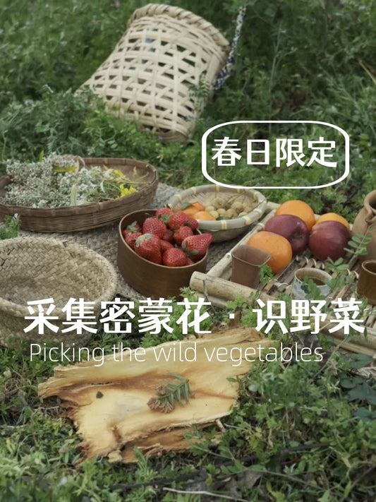 春日限定｜采密蒙花 识野菜