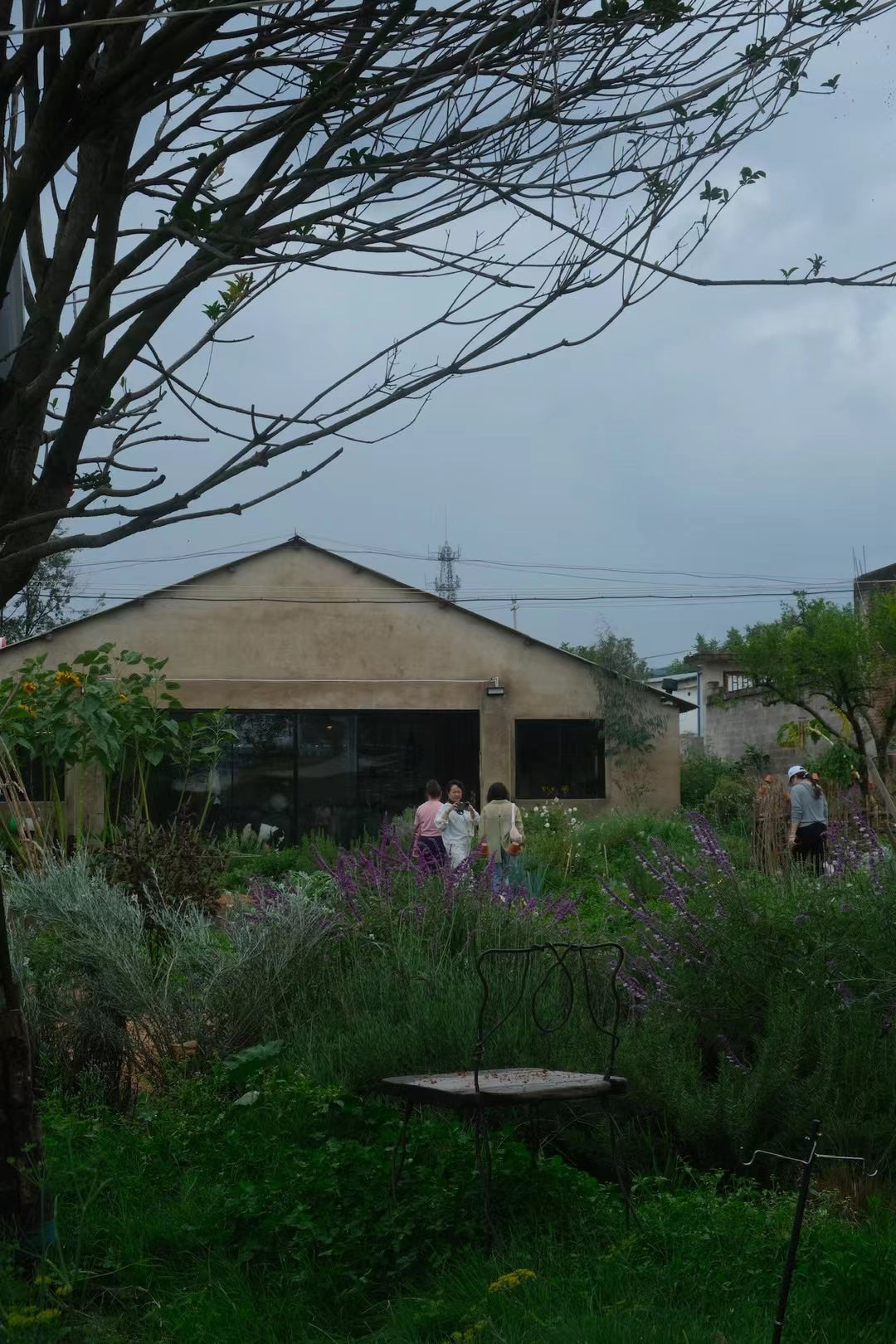 Restaurant à la truite