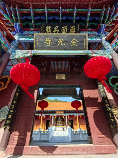 燕子的木莲花之旅