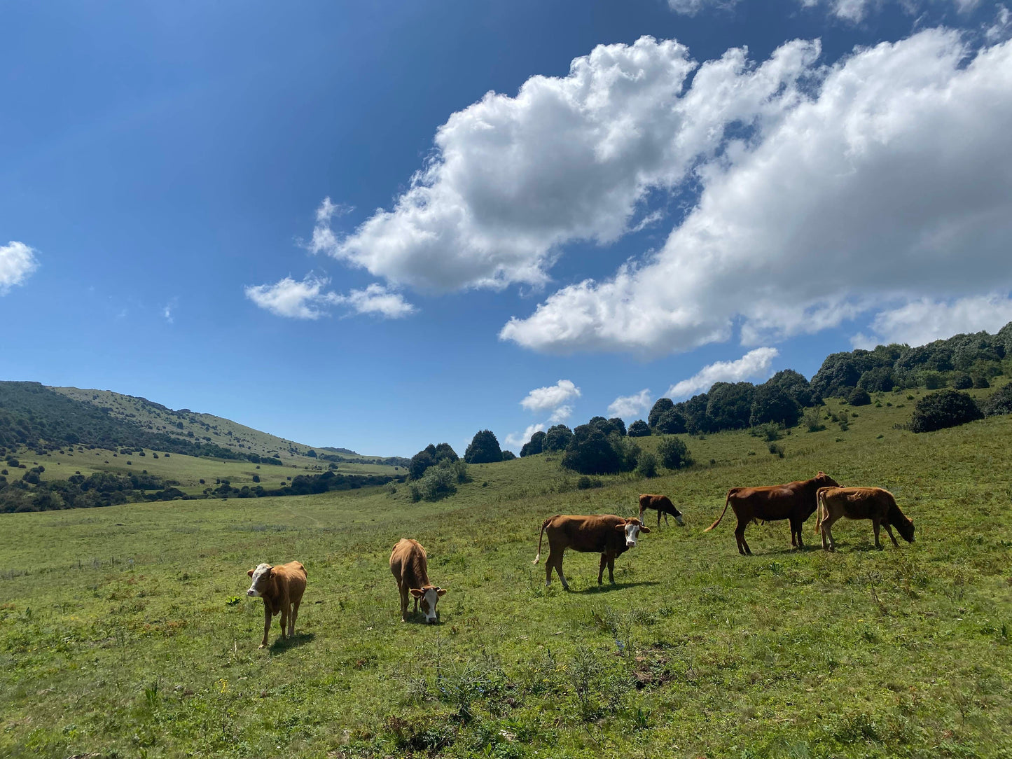 Muxiangping｜Caminata ligera por la pradera alpina