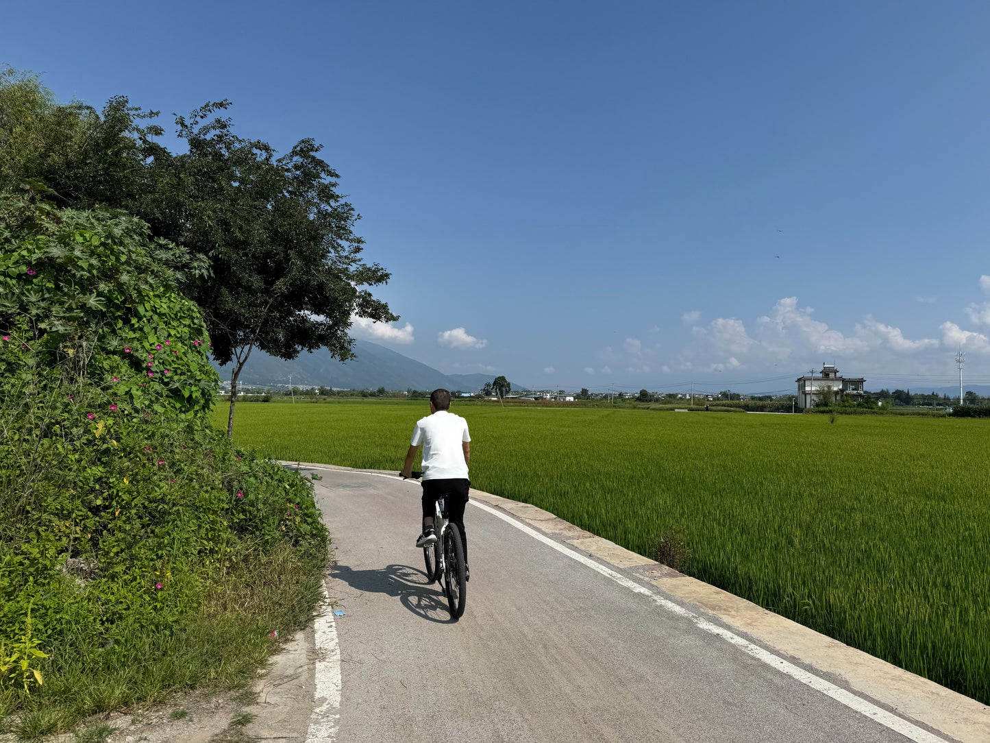 Đạp xe ở Xizhou | Khám phá làng mạc, cánh đồng và hồ Erhai cùng Randy