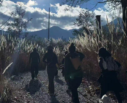 傍晚清碧溪茶园徒步 ｜下山向导红红家吃饭