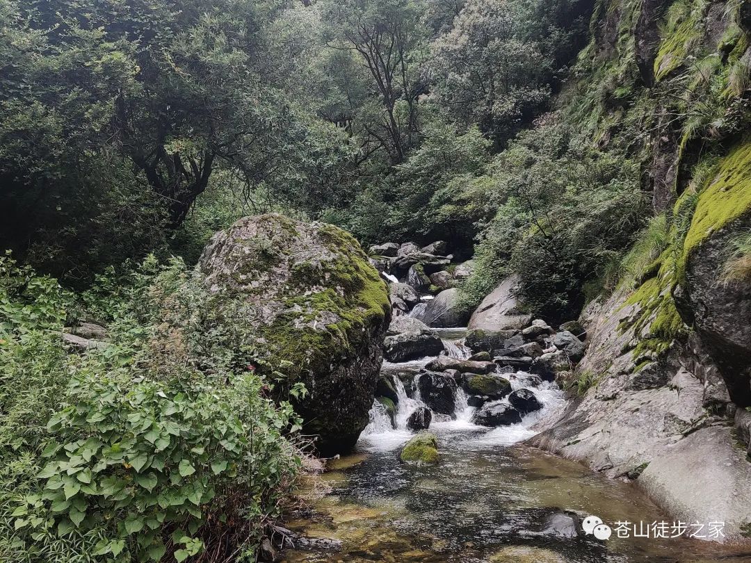 Hiking to Boluo temple and enjoy the vegan food