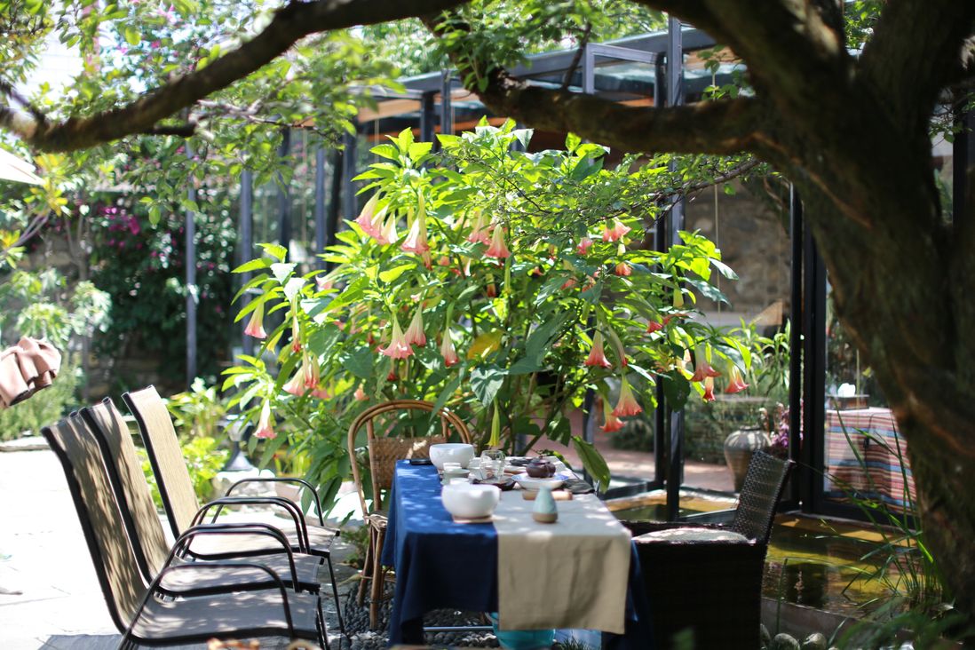 Air Garden | B&amp;B traditionnel avec cour intérieure exquise et calme