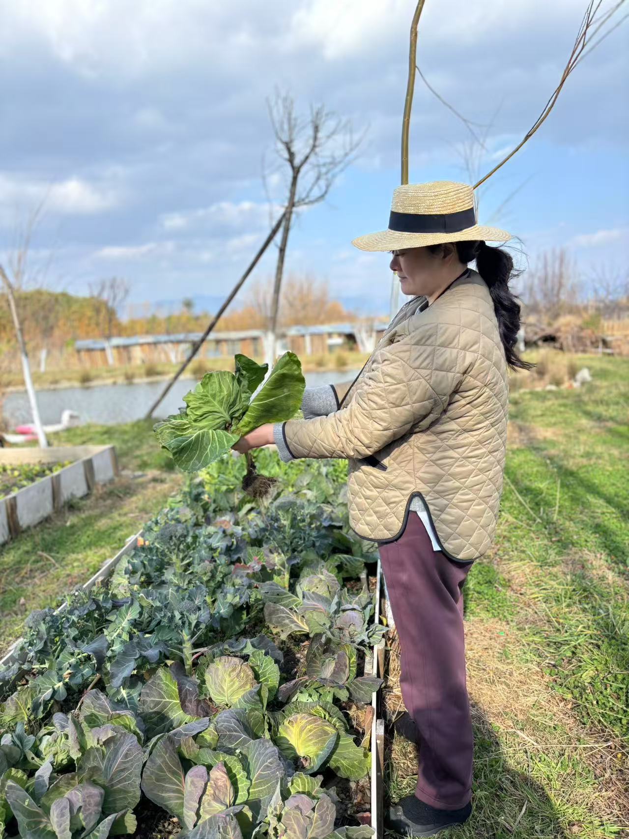 Visita la granja orgánica para recoger frutas | Cocina en casa con Honghong