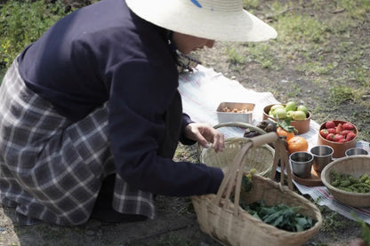 山脚散步采野菜，做天妇罗