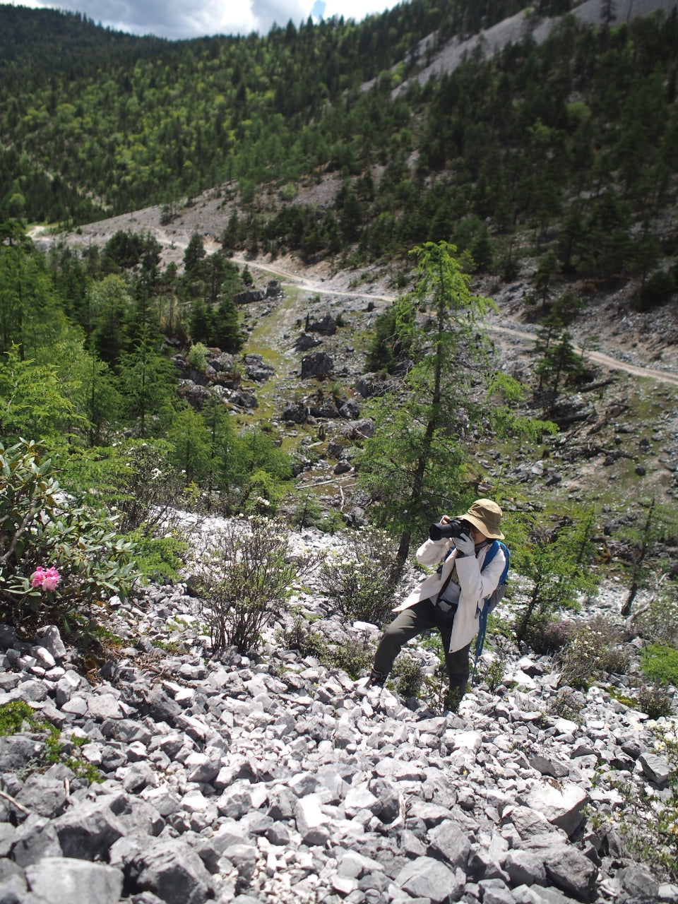 Nature Observation Mini Hike | Birds, Plants and Insects