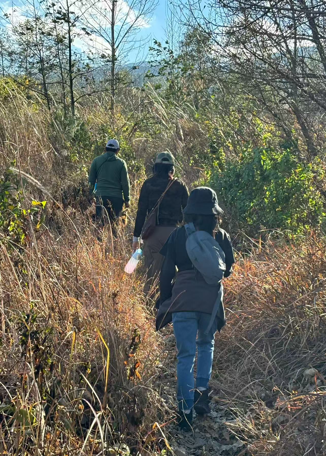 傍晚清碧溪茶园徒步 ｜下山向导红红家吃饭