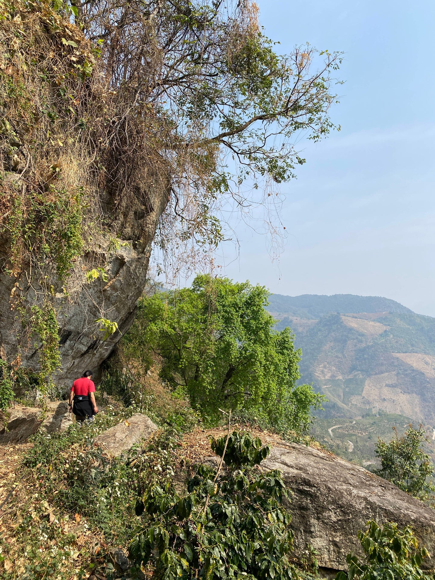 怒江2日旅行｜咖啡晒场 南部边境 温泉