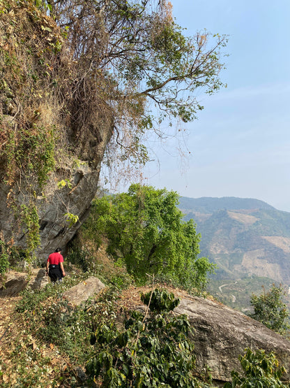 怒江2日旅行｜咖啡晒场 南部边境 温泉