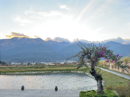 &quot;Nhà hàng Da Ji Xi Tang&quot; ẩm thực Trung Hoa tinh tế