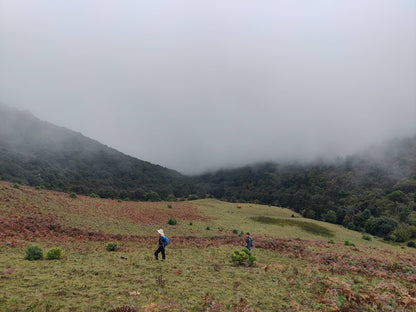 木香坪｜高山草甸軽いハイキング 