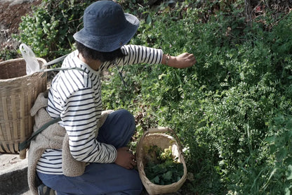 山脚散步采野菜，做天妇罗