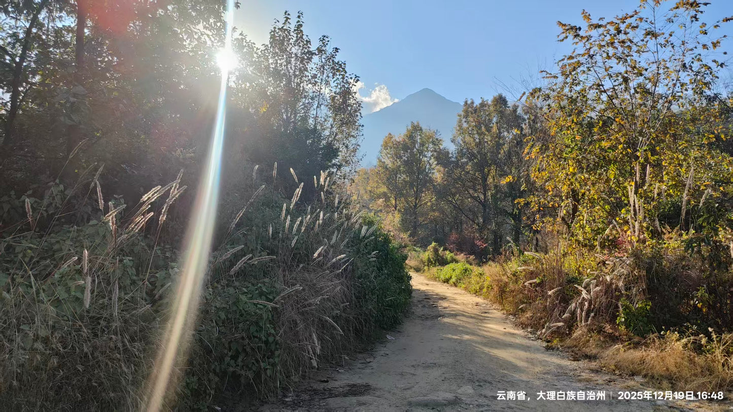 傍晚清碧溪茶园徒步 ｜下山向导红红家吃饭