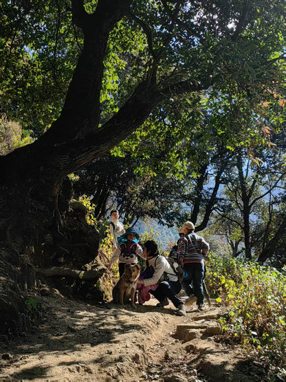 Un día en la casa de un &quot;pariente&quot; en las profundas montañas de Xipo | El otro lado de la montaña Cangshan