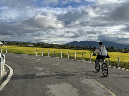 Radfahren in Xizhou | Mit Randy Dörfer, Felder und den Erhai-See erkunden