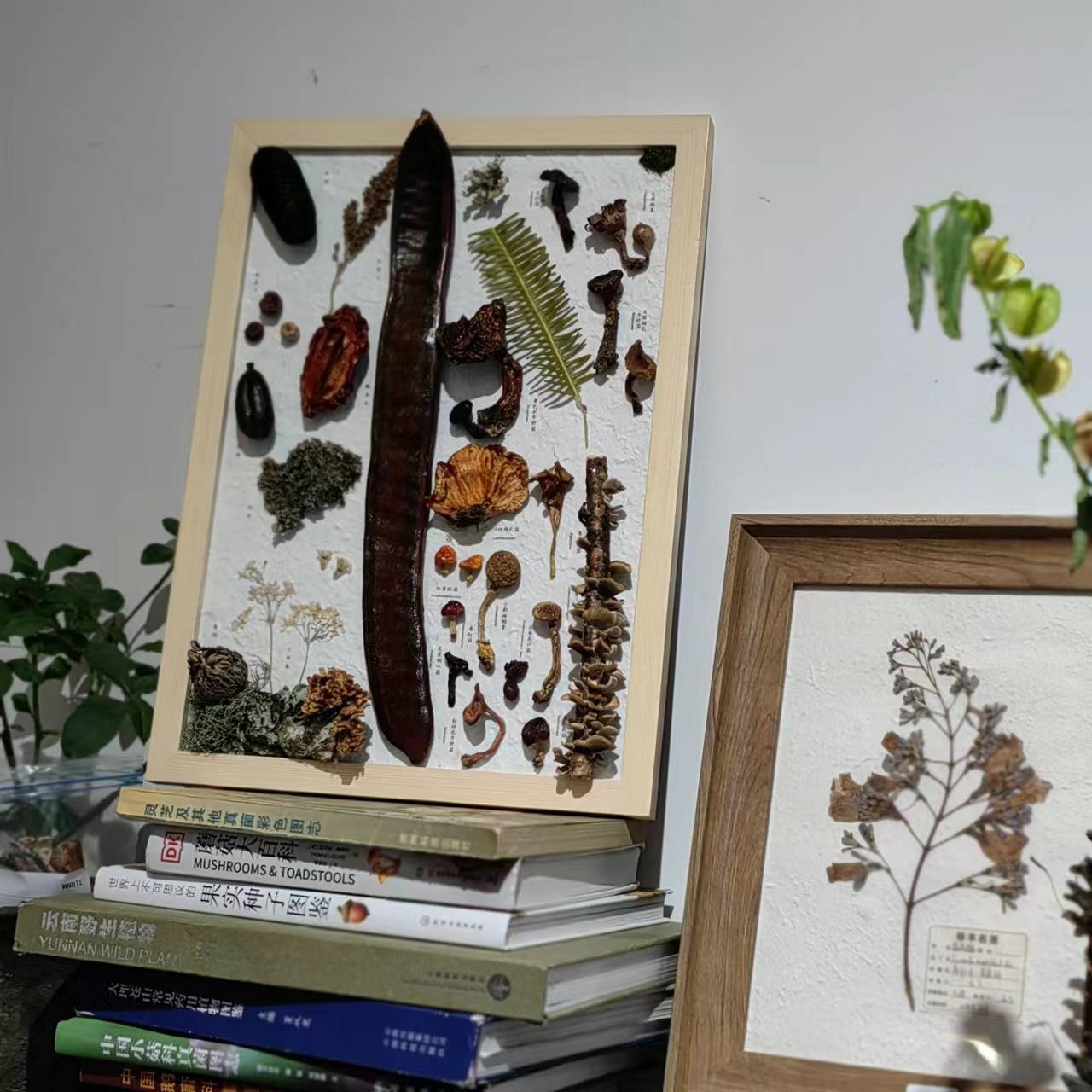 植物や果物を使って絵の額を作ります。 