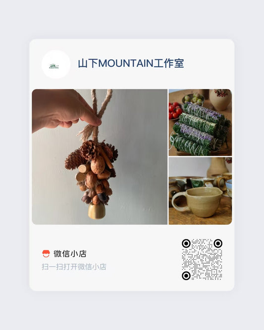 Li Zhenhao | More mushrooms and plant specimens