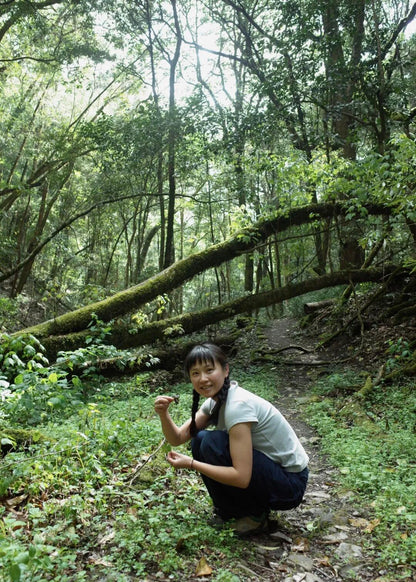 燕子的木莲花之旅