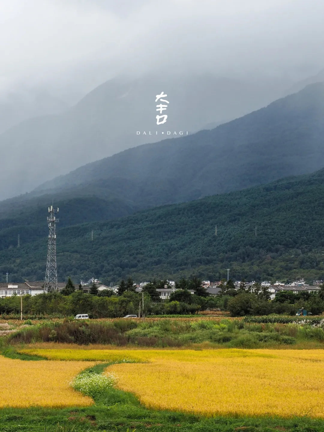 &quot;Nhà hàng Da Ji Xi Tang&quot; ẩm thực Trung Hoa tinh tế