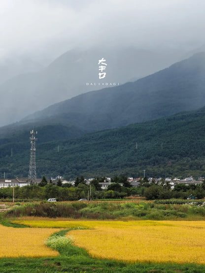 &quot;Nhà hàng Da Ji Xi Tang&quot; ẩm thực Trung Hoa tinh tế