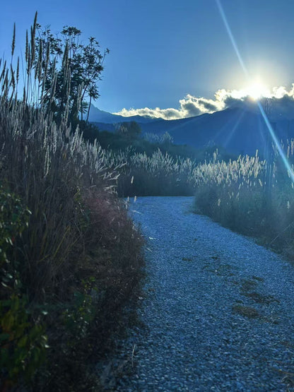 傍晚清碧溪茶园徒步 ｜下山向导红红家吃饭