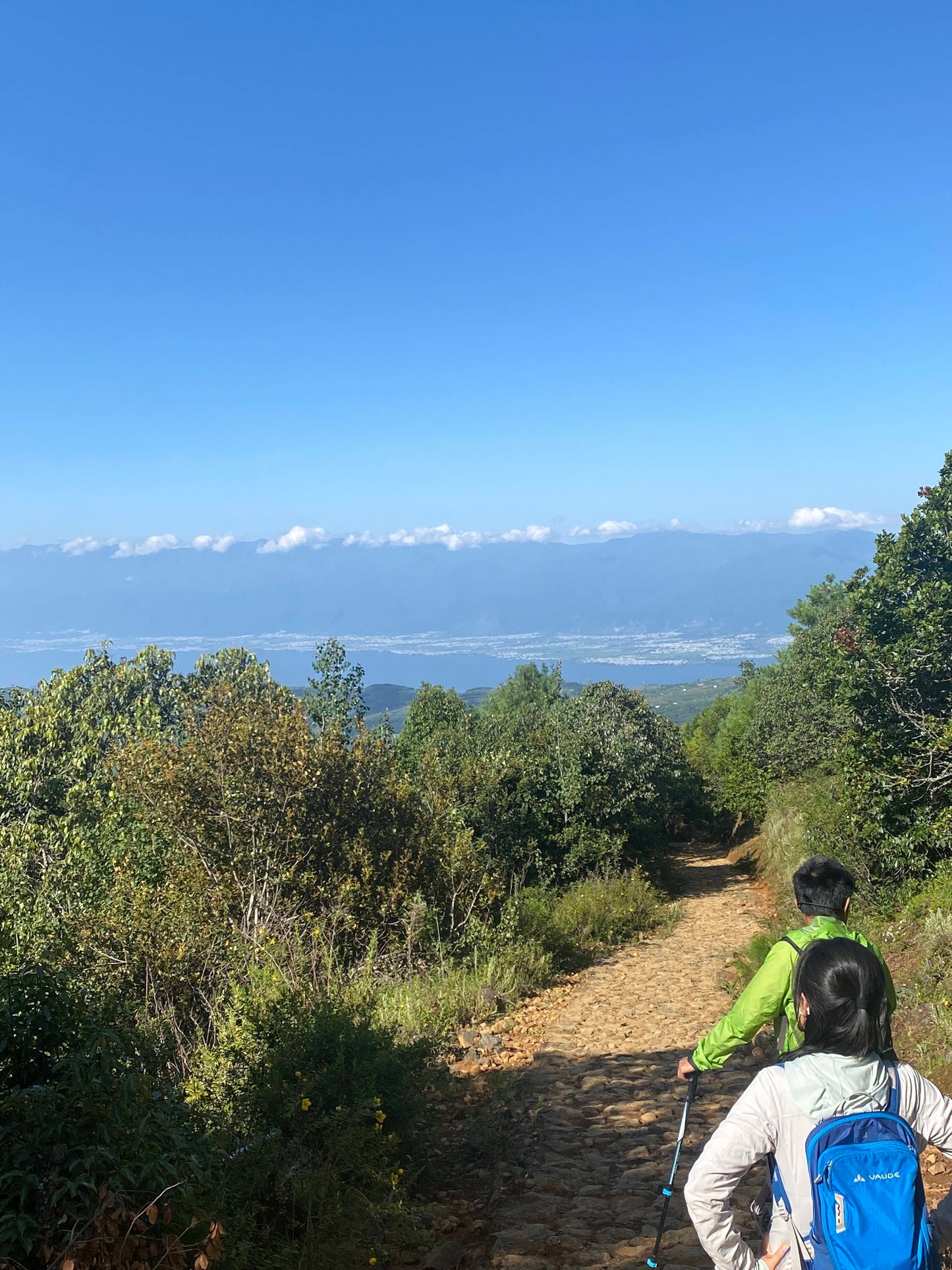 木香坪｜高山草甸軽いハイキング 