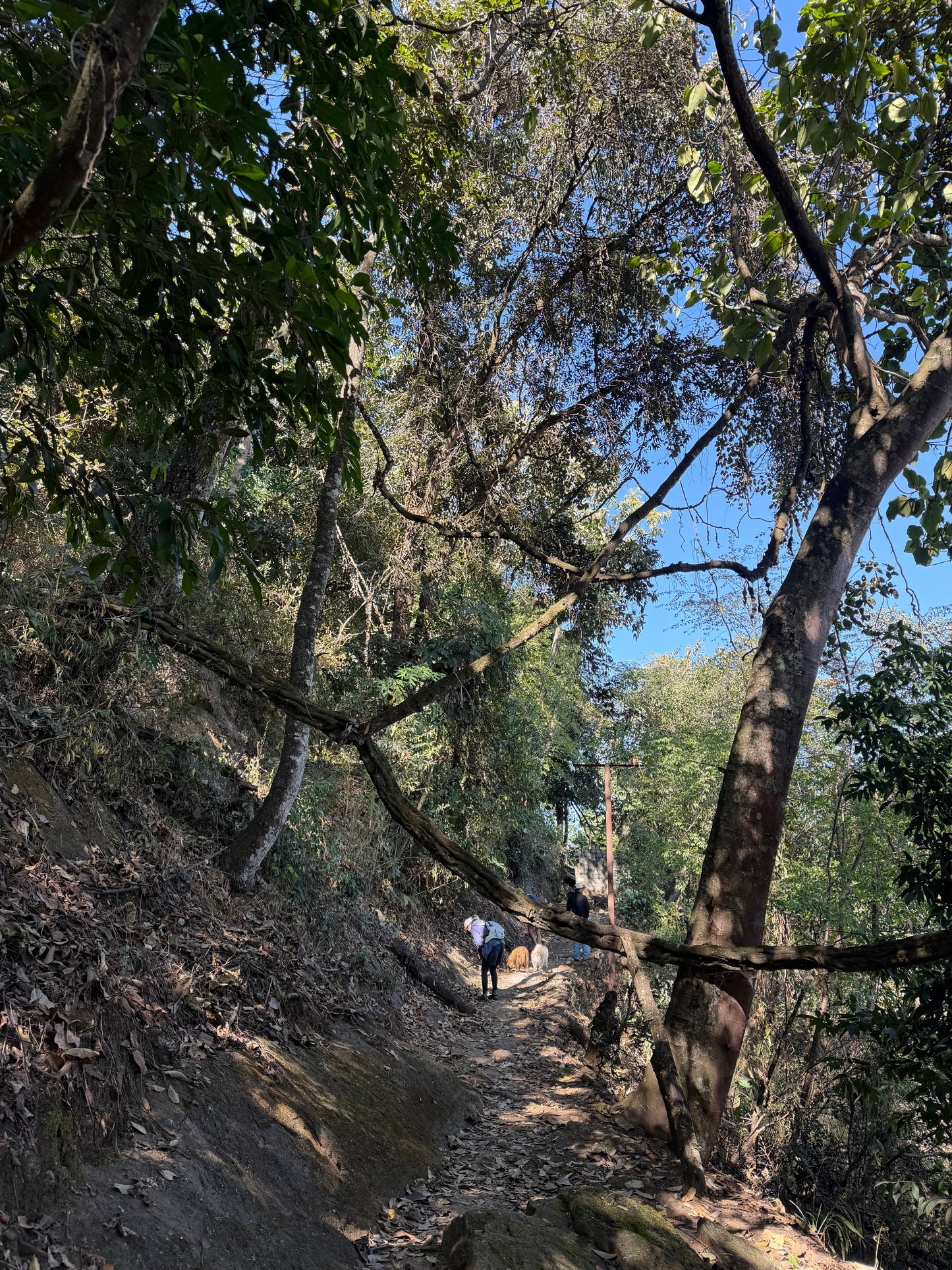 怒江2日旅行｜咖啡晒场 南部边境 温泉