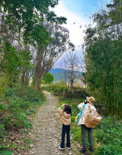 Nature Observation Mini Hike | Birds, Plants and Insects