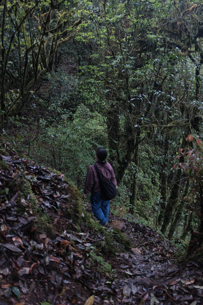 Hanhan's Ailao Mountain Forest Hike (2-day trip)