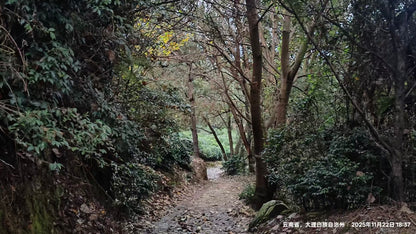 傍晚清碧溪茶园徒步 ｜下山向导红红家吃饭