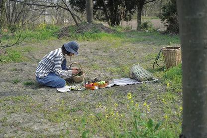 山脚散步采野菜，做天妇罗