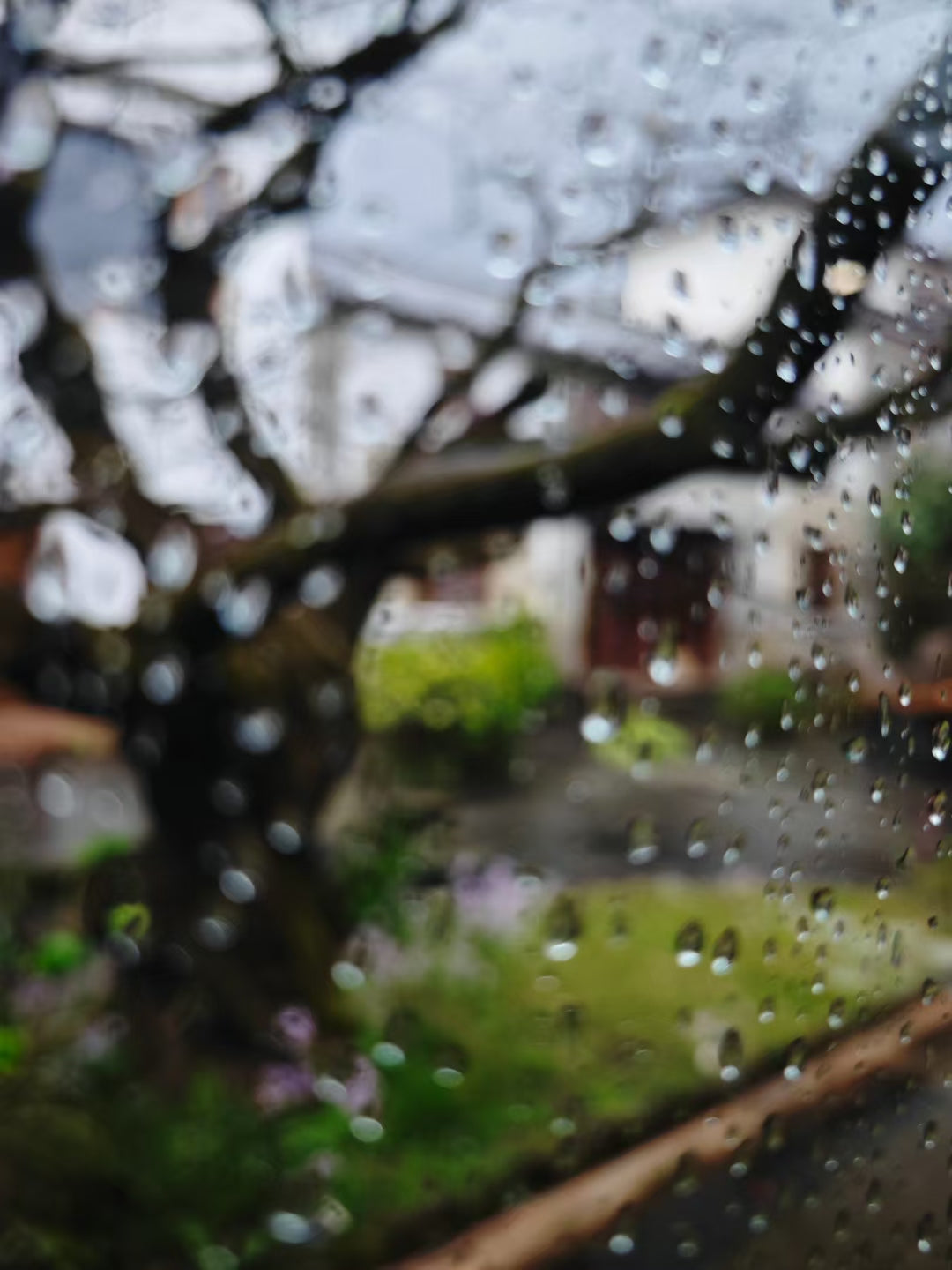 空氣花園| 精緻安靜的傳統庭院民宿