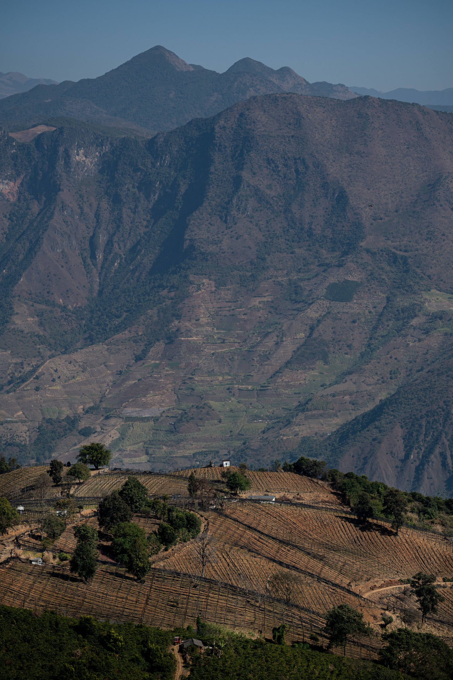 怒江2日旅行｜咖啡晒场 南部边境 温泉