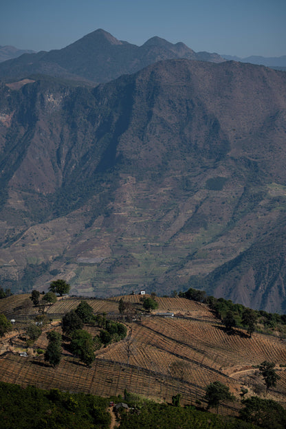 怒江2日旅行｜咖啡晒场 南部边境 温泉