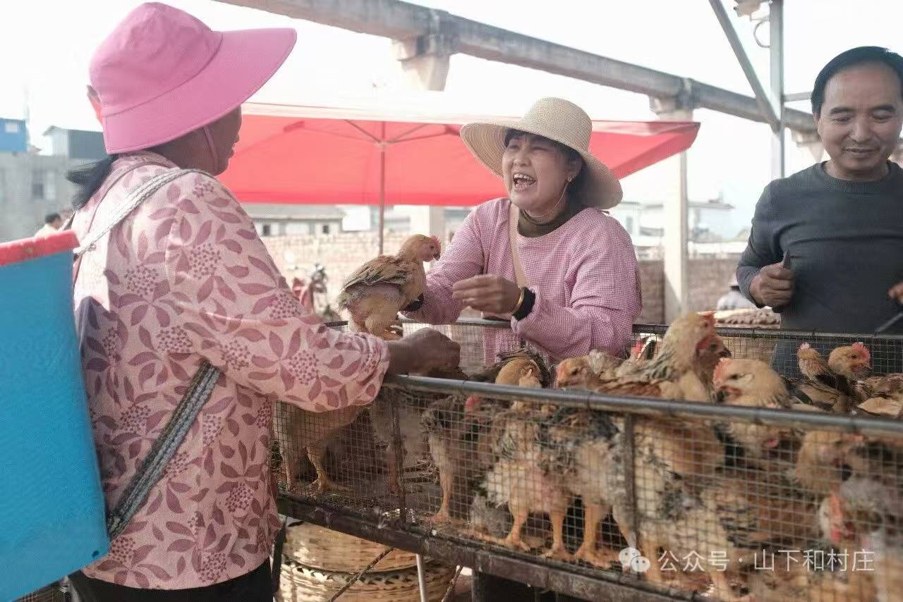 Weishan Temple Street Market | 3rd and 8th of each month