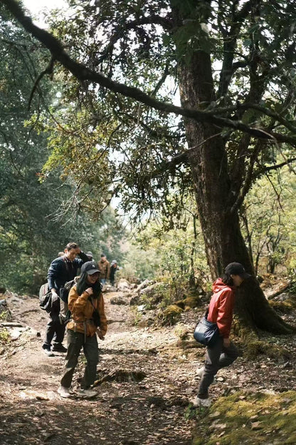 西坡深山里“亲戚”家的一天 | 苍山的另一边