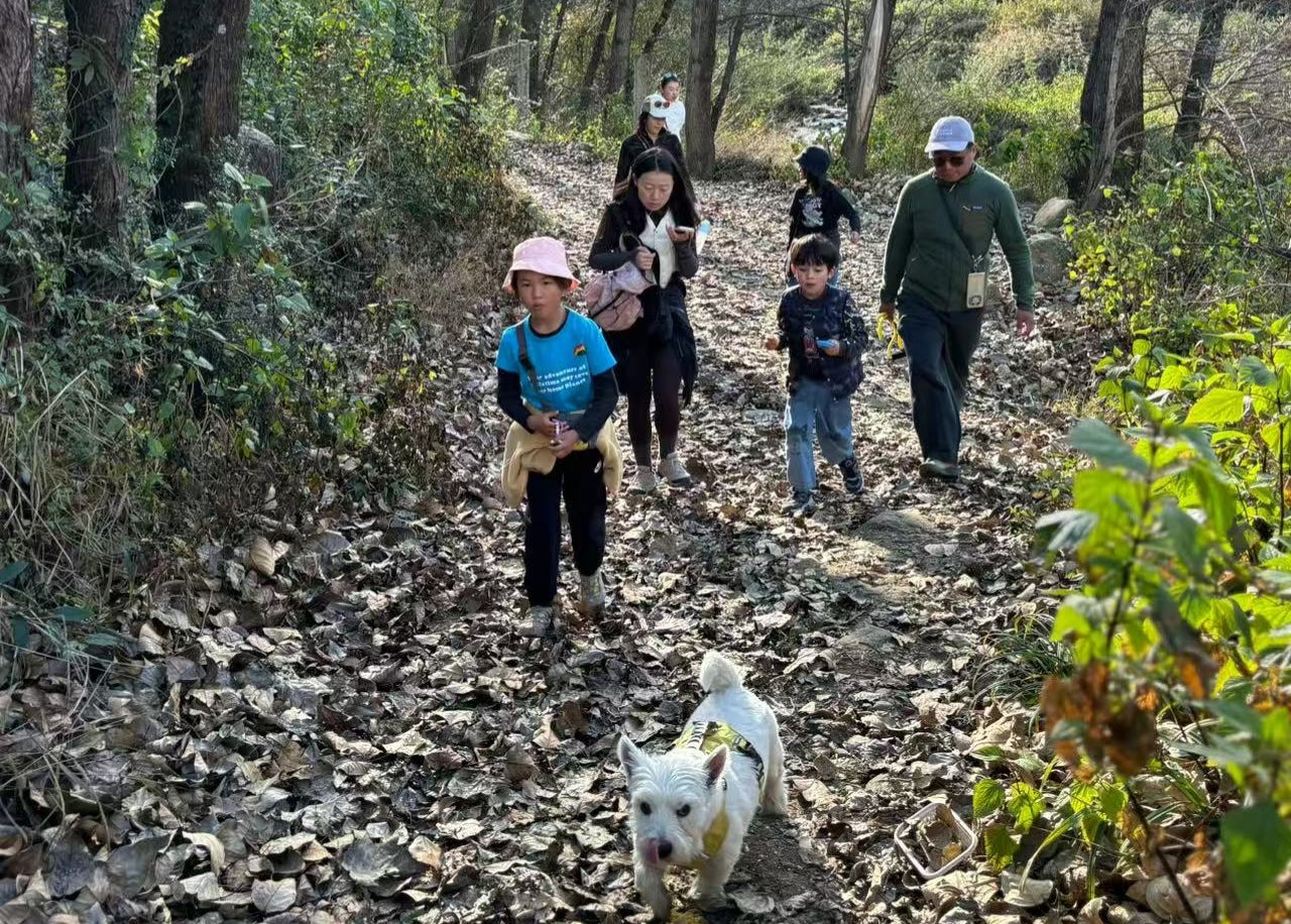 傍晚清碧溪茶园徒步 ｜下山向导红红家吃饭