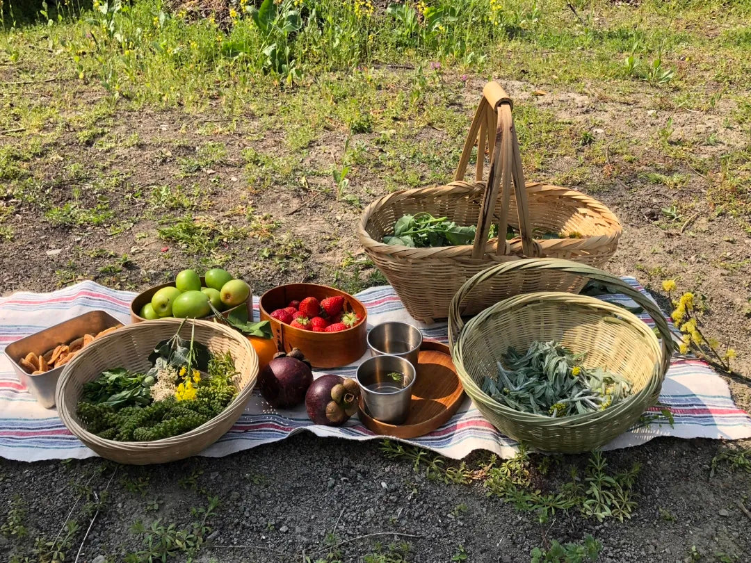 山脚散步采野菜，做天妇罗