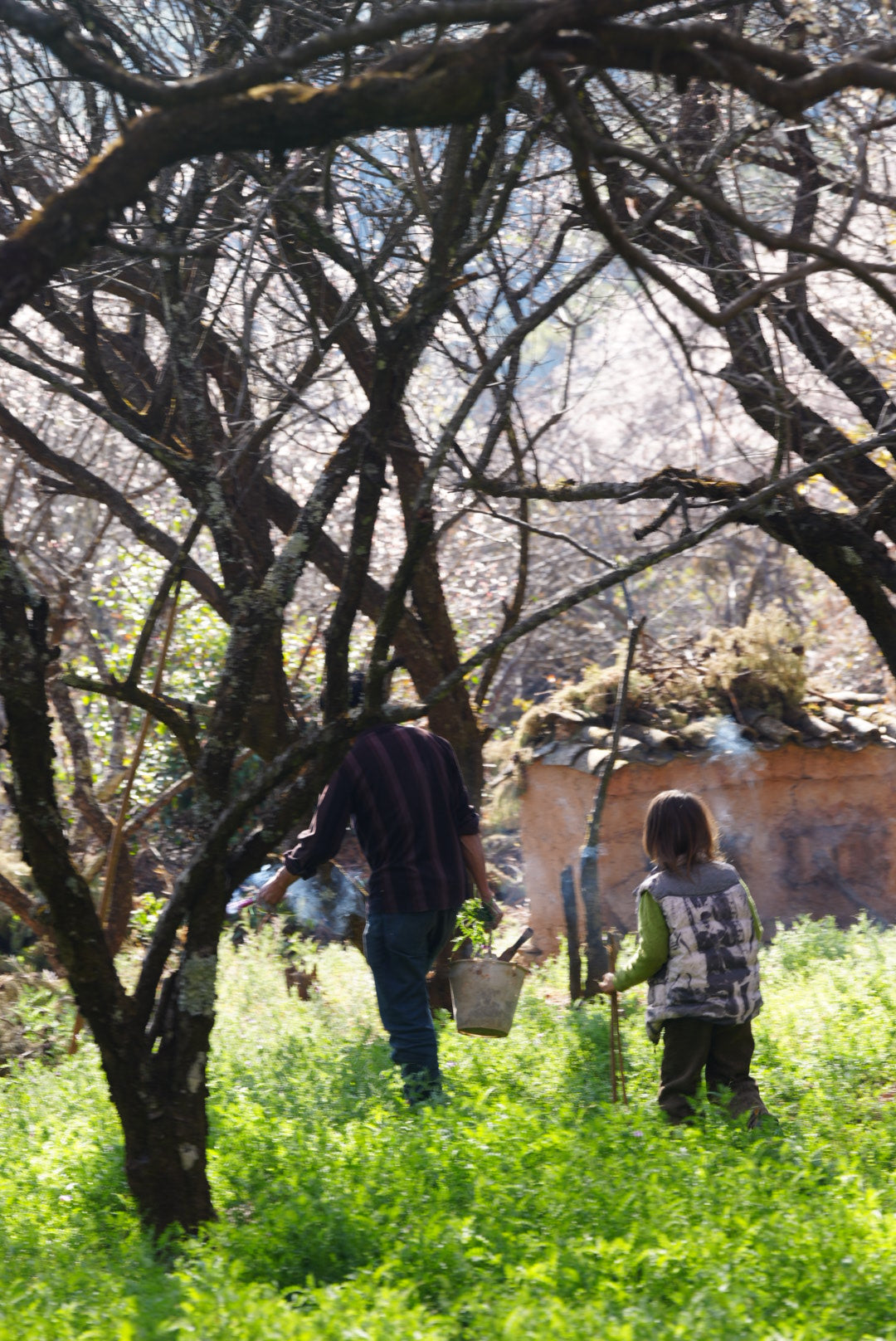 Songhe Village Maoge's Family