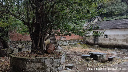 傍晚清碧溪茶园徒步 ｜下山向导红红家吃饭