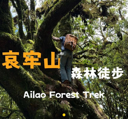 Hanhan's Ailao Mountain Forest Hike (2-day trip)