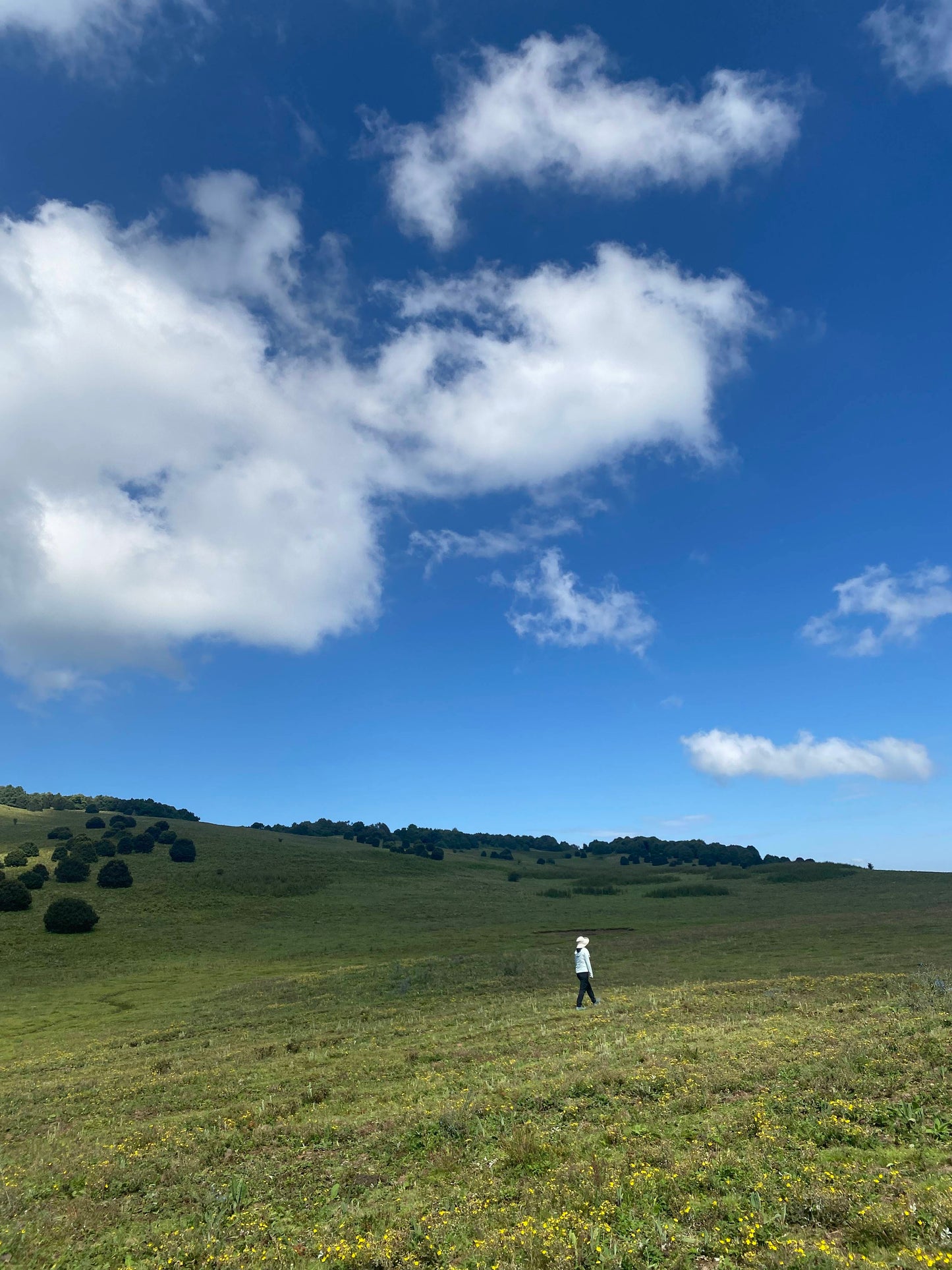 Muxiangping｜Caminata ligera por la pradera alpina