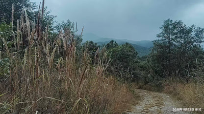 傍晚清碧溪茶园徒步 ｜下山向导红红家吃饭