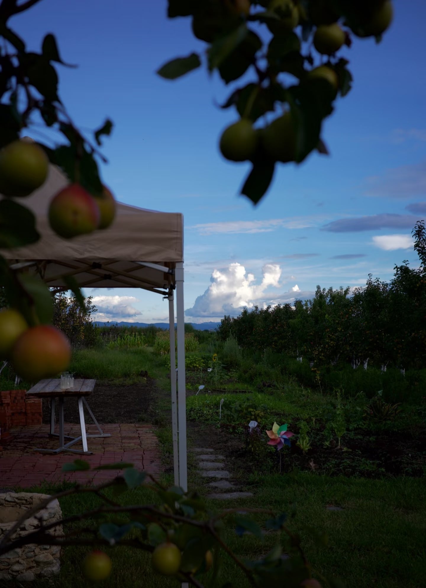 &quot;Two Acres&quot; ẩm thực Trung Hoa và phương Tây tinh tế